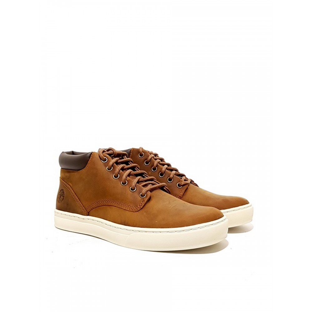 Timberland a1jun 2025