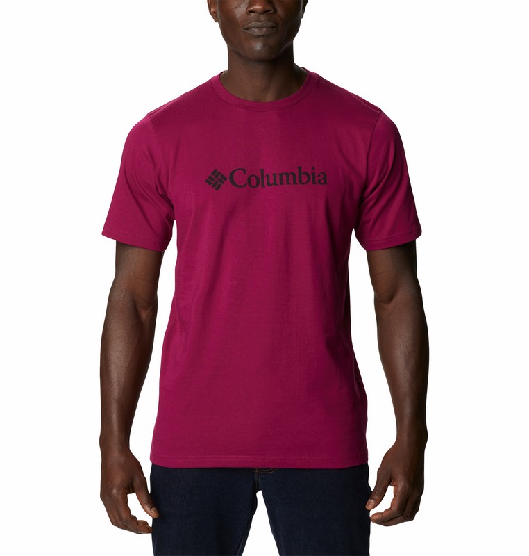 Ανδρικό Μπλουζάκι Columbia Csc Basic Logo 1680053-662 Μωβ Υφασμα