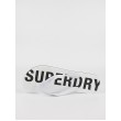 Ανδρική Σαγιονάρα Superdry Code Essential Flip Flop MF310186A Ασπρο Συνθετικό