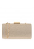 Women Clutch EXE Q6700359953B Gold Metallic