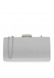 Women Clutch EXE Q6700359955B Silver