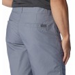 Ανδρική Βερμούδα Columbia Washed Out Shorts AM4471-022 Γκρι