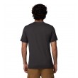 Men's Columbia Parsons Point™ SS Graphic Tee 2165071-010 Black Heather, Pointed Peaks