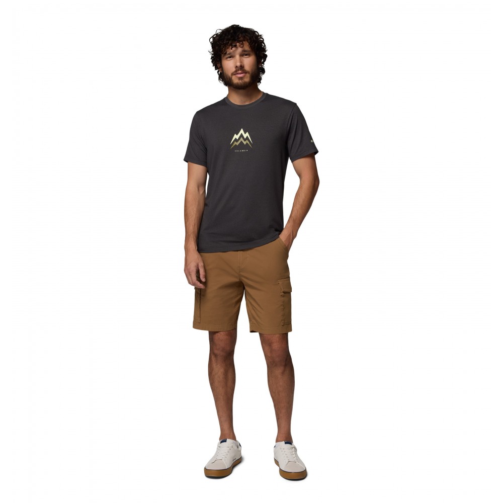 Men's Columbia Parsons Point™ SS Graphic Tee 2165071-010 Black Heather, Pointed Peaks